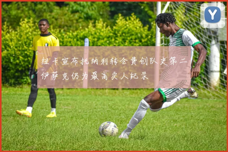 纽卡宣布托纳利转会费创队史第二伊萨克仍为最高卖人纪录