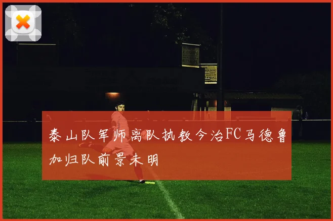 泰山队军师离队执教今治FC马德鲁加归队前景未明