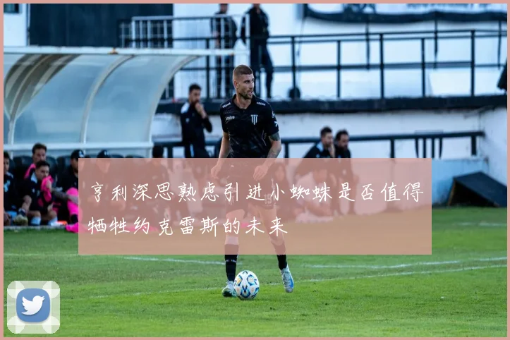 亨利深思熟虑引进小蜘蛛是否值得牺牲约克雷斯的未来