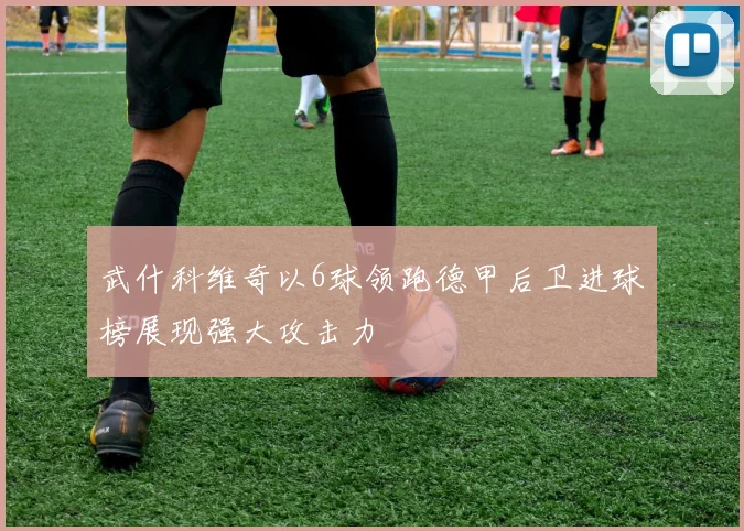 武什科维奇以6球领跑德甲后卫进球榜展现强大攻击力